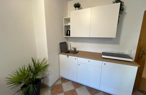 Bad Aibling Apartment | Palmen Apartment direkt in Bad Aibling