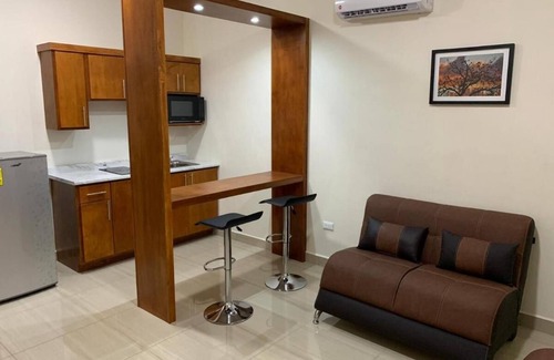 Ciudad Acuna Apartment | Palms Suites
