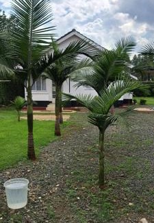 Eldoret House | Palmview studio