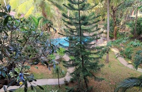 Canacona Apartment | Palolem Comfy and Cozy Apartment