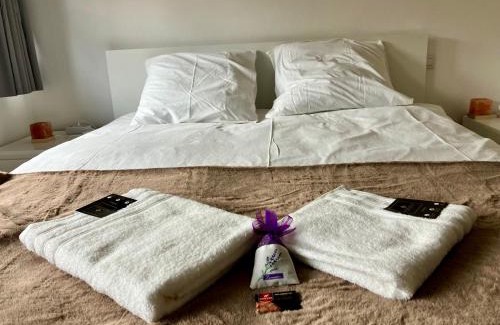 Figeac Apartment | Paloma