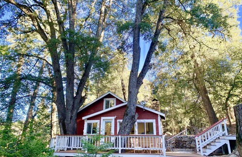 Palomar Mountain Cabin | Palomar Mountain Cabin in the Trees