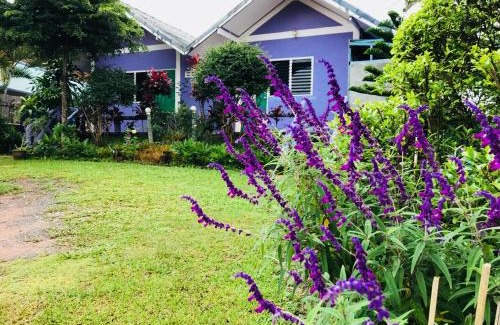 Khao Kho Resort | Panamma Hill Resort