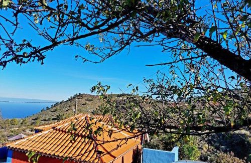 Santo Domingo House | Panchita