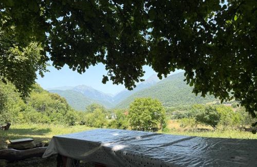 Akhmeta Apartment | Pankisi Wooden Cottage
