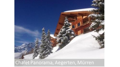 Murren Apartment | Panorama 2 Bett Wohnung