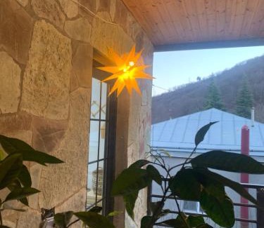 Ananuri House | Panorama ananuri guest house