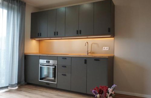 Fichtelberg Apartment | Panorama Apart Fichtelberg