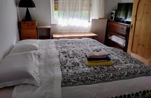 Pieve di Cadore Apartment | Panorama mountains Dolomiti