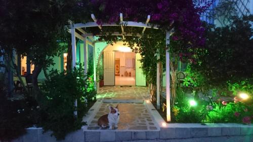 Paros Hotel | Panorama Paros