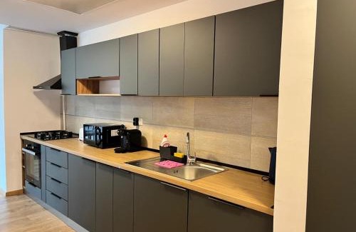 Predeal Apartment | Panorama Pine Retreat - Spacious 2-Bedroom Flat
