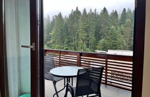 Predeal Apartment | Panorama Pine Retreat - Spacious 2-Bedroom Flat