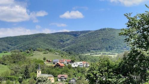 Jalovec Apartment | Panorama View