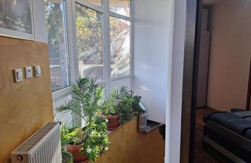 Tirgu Mures Apartment | Panoramic Apartment