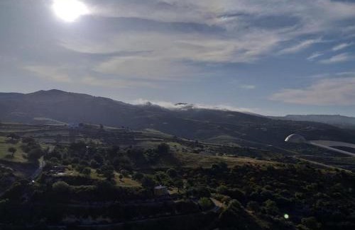 Peyia Town Apartment | Panoramic Holidays - Standard 50