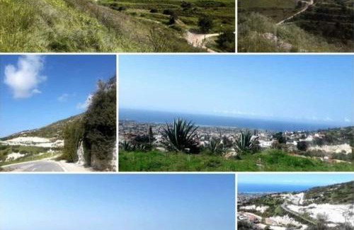 Peyia Town Apartment | Panoramic Holidays - Standard 50
