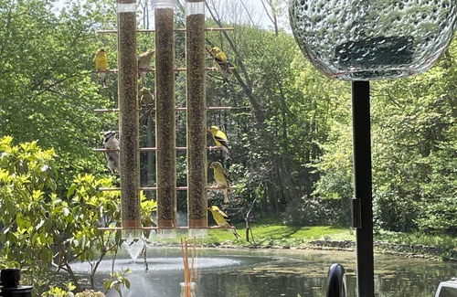 Canton House | Panoramic water views. Floor to ceiling glass .Live amongst nature