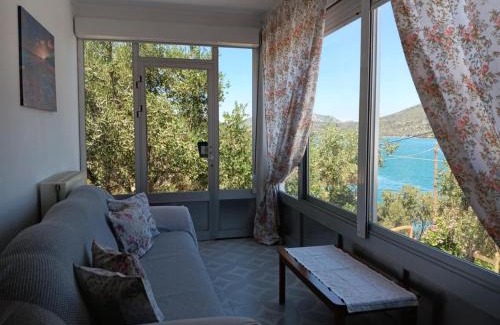 Mytilene Apartment | Pansofia