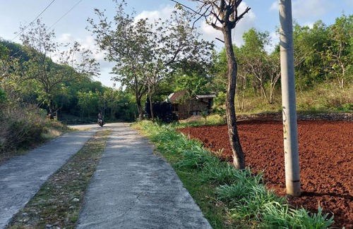 Wonosari Other | Pantai Watu Kodok Camp