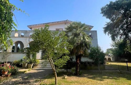 Carbonia Apartment | Paola's Garden
