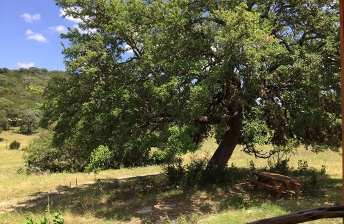 Ingram Cabin | Papa's Palace at Stacy Ranch, cabin on 120 acres between Ingram & Hunt, TX