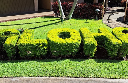 Honokowai Condo | Papakea Resort E305 is Open! Please Visit West Maui & Help Our Businesses.