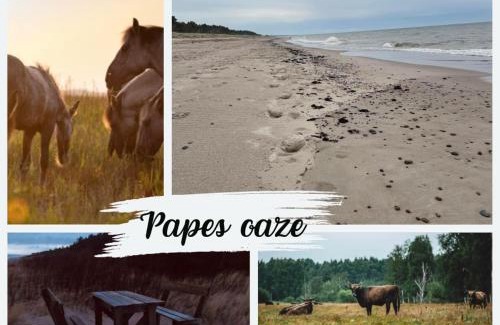 Kurzeme Apartment | Papes oaze