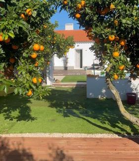 Estremoz House | Paraíso a Dois em Estremoz