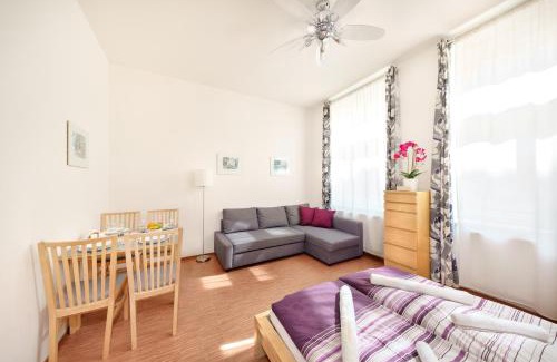 Zizkov Apartment | Paradise Apartment
