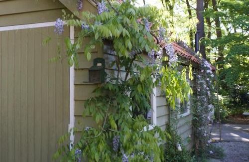 Municipality of Zeist House | Paradise Bungalow Zeist