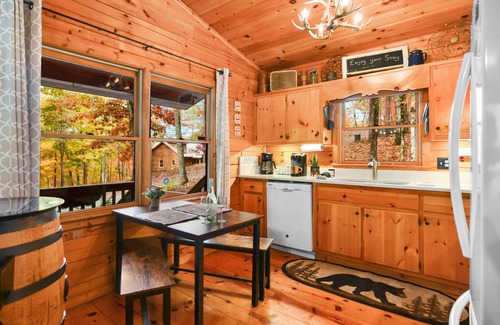 Blue Ridge Cabin | Paradise Escape: Minutes from Blue Ridge, Hot-Tub, 100+ 5-star Reviews!