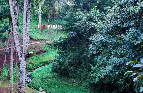 Nyeri Hotel | Paradise Farm Cottages Mbui