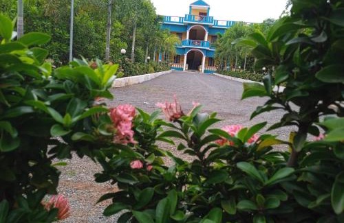 Auroville Resort | Paradise Forest Resort