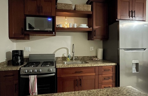 Placencia Apartment | Paradise Inn Placencia - Toucan Suite on the beach