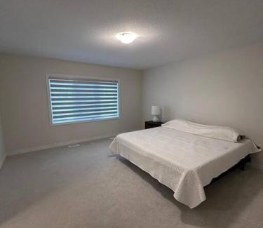 Thorold Apartment | Paradise Island