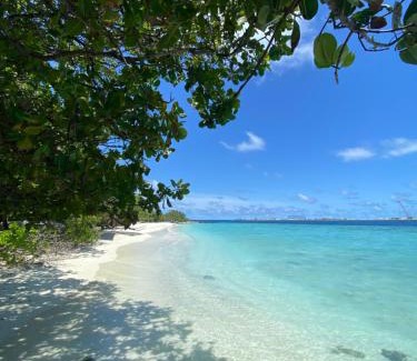 Thoddoo House | Paradise Palms - Guest House