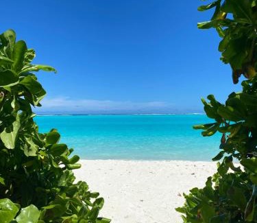 Thoddoo House | Paradise Palms - Guest House