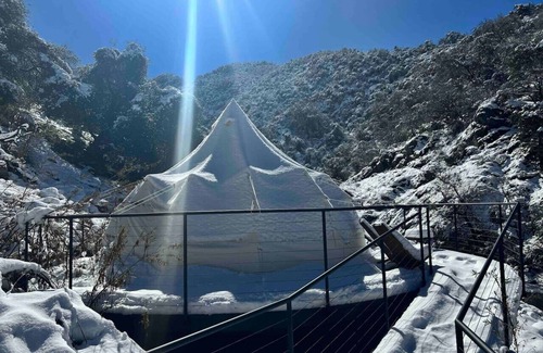 Three Rivers RV Rental | Paradise Ranch Inn - Abundance Tent