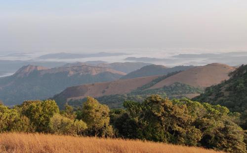 Tumari Other | Paradise Wild Hills Kodachadri