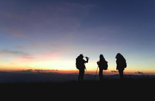 Tumari Other | Paradise Wild Hills Kodachadri