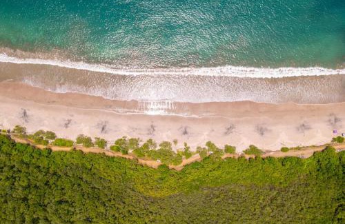 Playa Flamingo Apartment | Paraiso Presidential 20 -Ocean View Penthouse And Digital Nomad Haven
