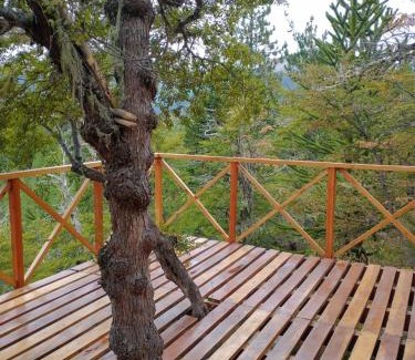 Moquehue Apartment | Parajes del Lejano Sur Cabaña El Calden
