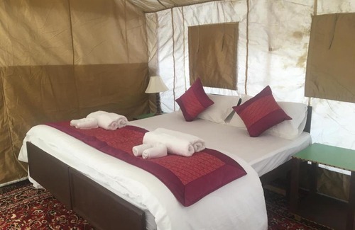 Nubra Valley Other | Paramount Camp