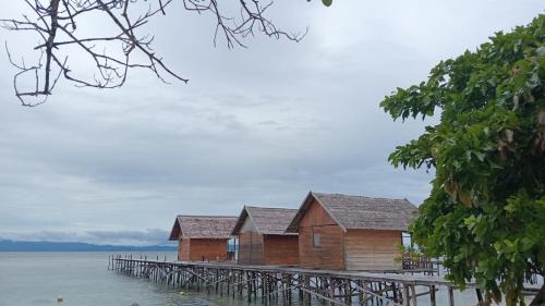 Arborek House | ParfrayHomestay Raja ampat