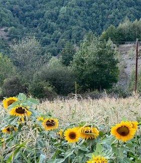 Mestia Apartment | Pari Paradise