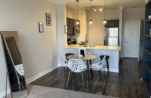 Braeswood Place Apartment | Paris themed apartment in medical center area