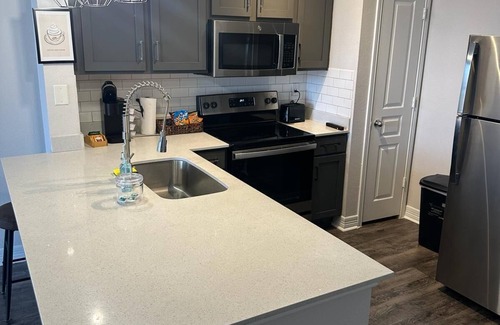 Braeswood Place Apartment | Paris themed apartment in medical center area