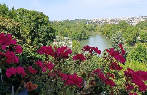 Champigny-sur-Marne Apartment | Paris with added zen