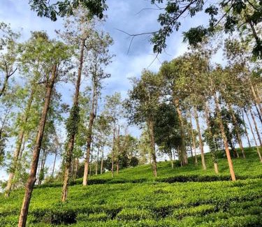 Mananthavady Resort | Parisons Plantation Experiences by Abad
