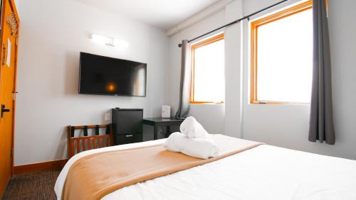 North Park City Hostel | Park City Hostel
